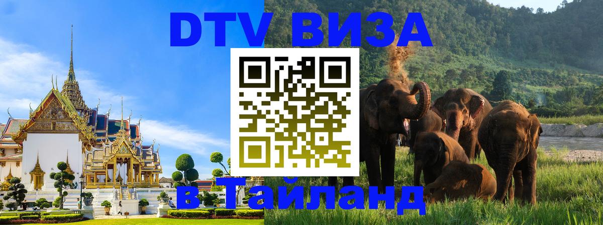 Сколько стоит DTV виза — актуальные цены, оформление даже без документов - Балашиха 